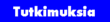 tutkimuksia.gif (1446 bytes)